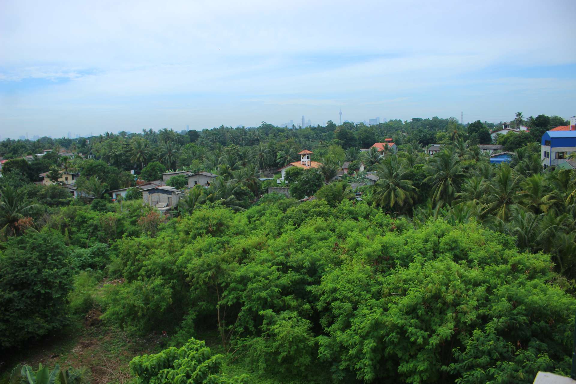 Green surroundings near Heritage Eco Resort Kelaniya