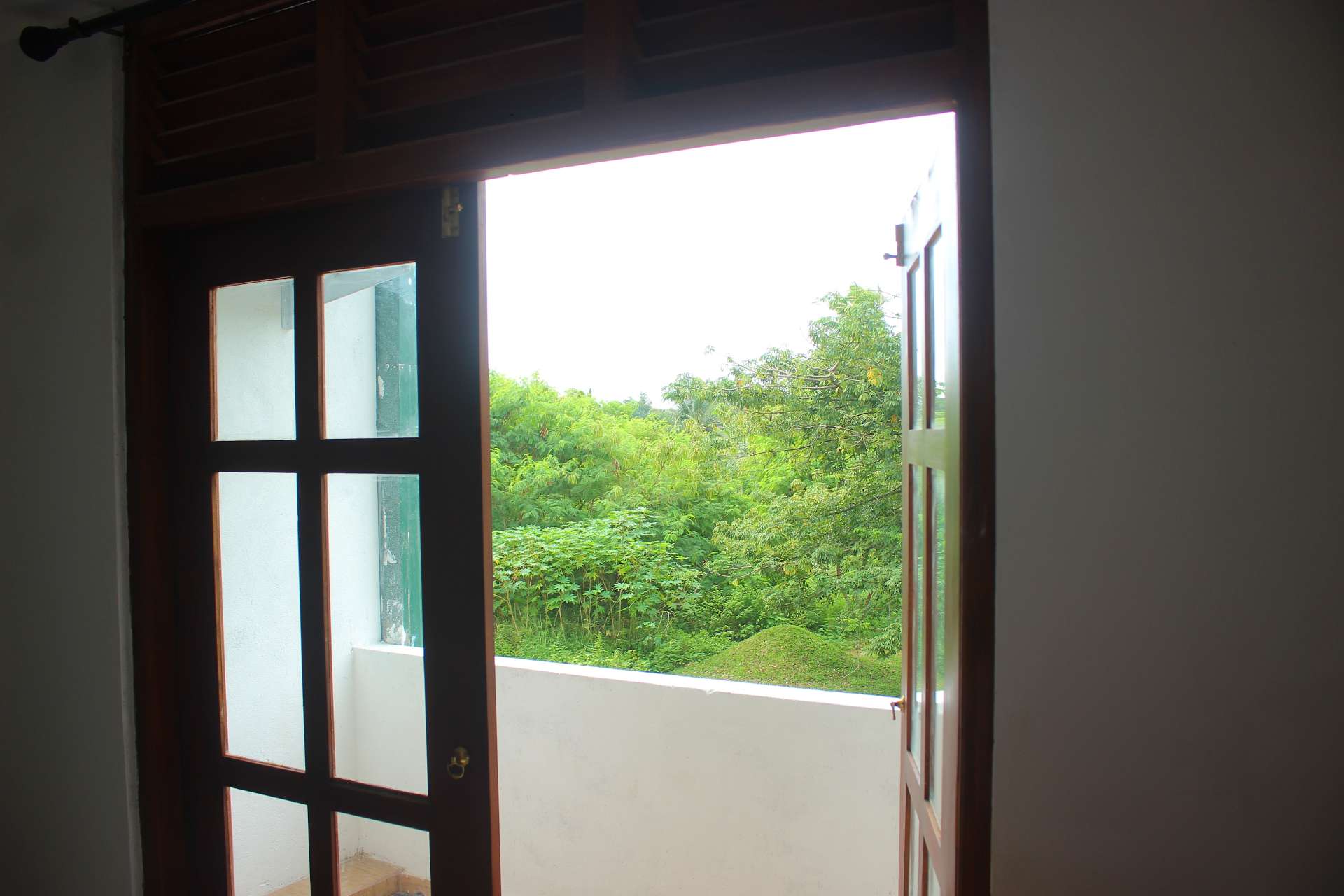 Lush greenery view from Heritage Eco Resort Kelaniya